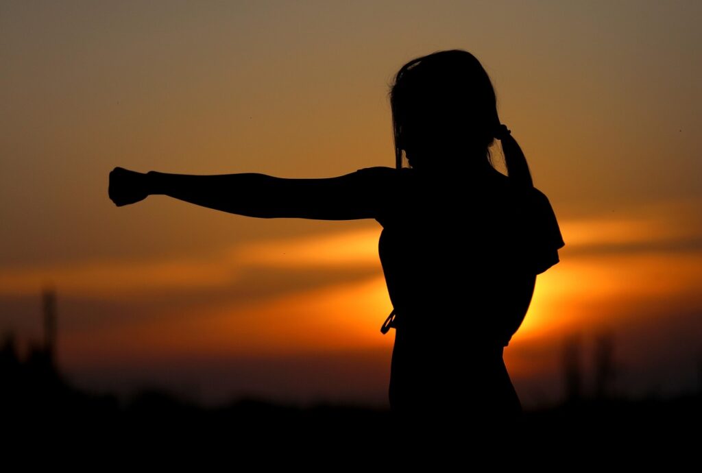 karate, nature, sunset, fight, sports, silhouette, resistance, samurai, fit, girl, self-defense, defense, fist, brown sunset, brown sports, exercícios